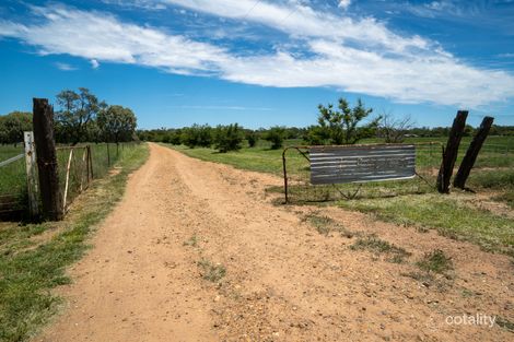 Property photo of 3443 Ellengerah Road Warren NSW 2824