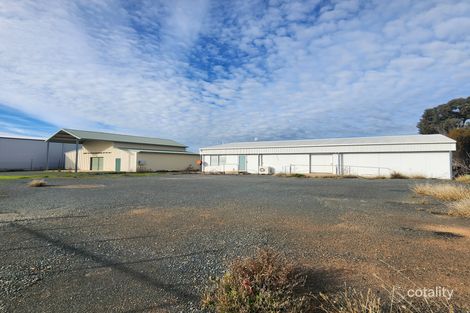 3 Calleen St, West Wyalong, NSW 2671