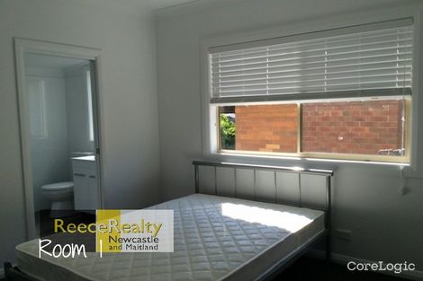 Property photo of 105 Lorna Street Waratah West NSW 2298