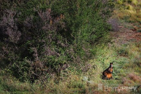 18 Tattenham Ct, Attwood, VIC 3049