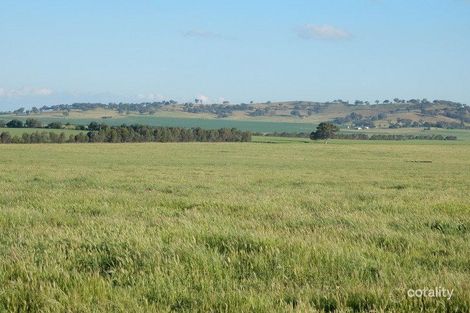 1504 Gregadoo East Rd, Gregadoo, NSW 2650