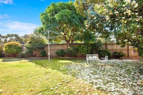 Property photo of 21 Gornall Avenue Earlwood NSW 2206