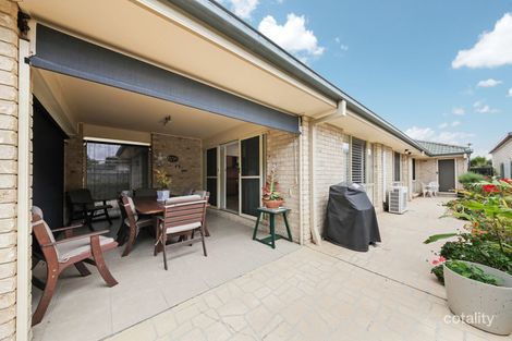 Property photo of 64 Petrie Crescent Aspley QLD 4034