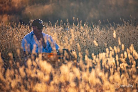 89 Bango Lane, Bango, NSW 2582