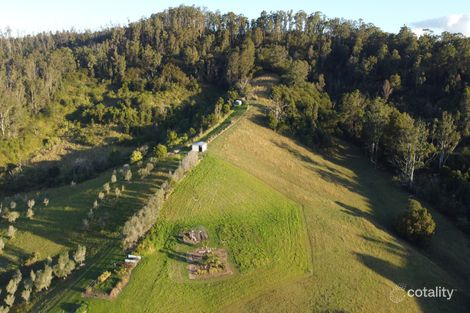 Property photo of 309 Welshs Creek Road Talarm NSW 2447