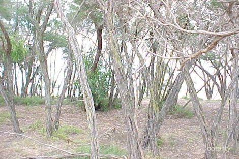Property photo of 64 Seagull Drive Loch Sport VIC 3851