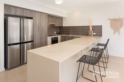Property photo of 7 Cotham Street Nudgee QLD 4014