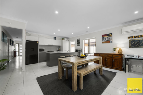 Property photo of 41 Grassbird Drive Point Cook VIC 3030