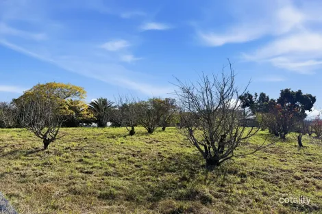 Property photo of 529 Olympic Highway Young NSW 2594