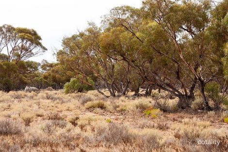 Lot 394 Pelican Point Rd, Morgan, SA 5320