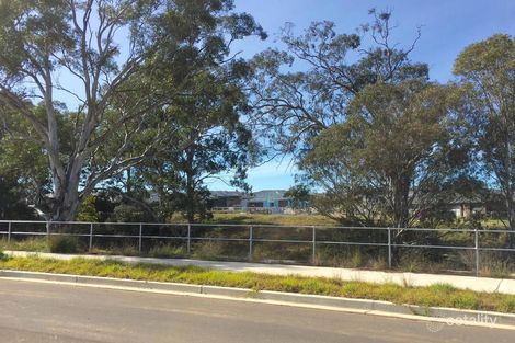 Property photo of 17 Wicker Street Spring Farm NSW 2570