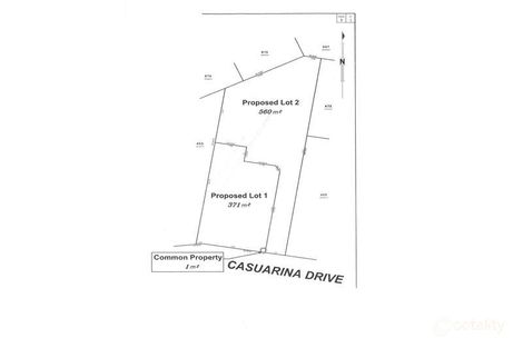 Property photo of 5 Casuarina Drive Molendinar QLD 4214