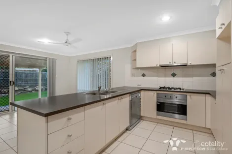 Property photo of 41 Patsy Crescent Redbank Plains QLD 4301