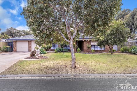 Property photo of 13 Hawthorn Terrace Parafield Gardens SA 5107
