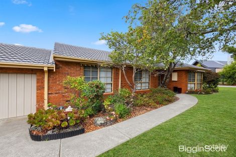 1/4 Saladin Ave, Glen Waverley, VIC 3150