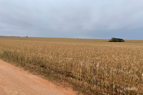 580 Swan Hill Rd, Murray Downs, NSW 2734