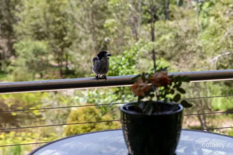 Property photo of 32 Melaleuca Drive Mullumbimby NSW 2482