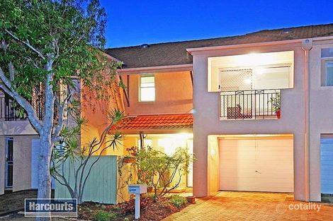 Property photo of 57/101 Coutts Street Bulimba QLD 4171
