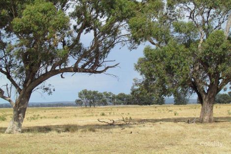 665 Bedgerabong Rd, Forbes, NSW 2871