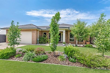 Property photo of 5 Wonderland Court Portland VIC 3305