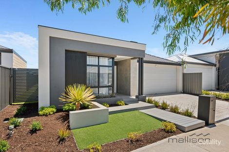 33 Bluegrass St, Treeby, WA 6164