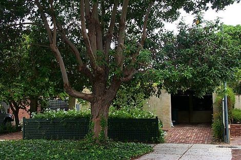 13 Commercial Rd, Shenton Park, WA 6008