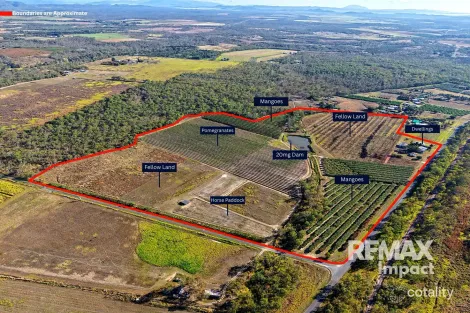 446 Chewko Rd, Mareeba, QLD 4880