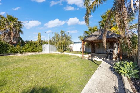 Property photo of 19 Grasstree Bend Banksia Grove WA 6031