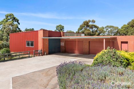 7 Nelson Rd, Tyabb, VIC 3913