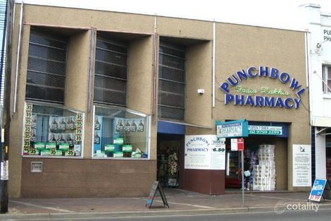 254 The Boulevarde, Punchbowl, NSW 2196