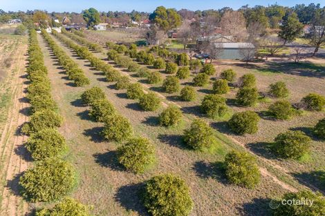 Property photo of 34 Grevillea Avenue Eugowra NSW 2806