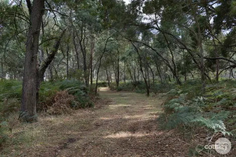 Property photo of 266 Treweeks Road Blampied VIC 3364