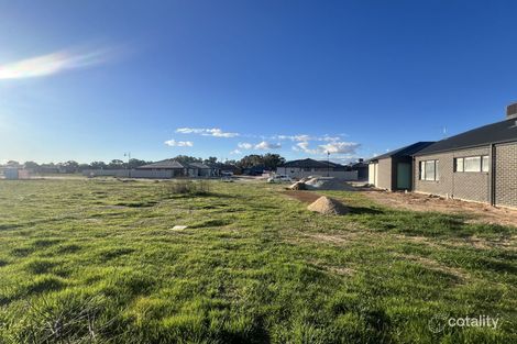 12 Ambridge Ave, Benalla, VIC 3672