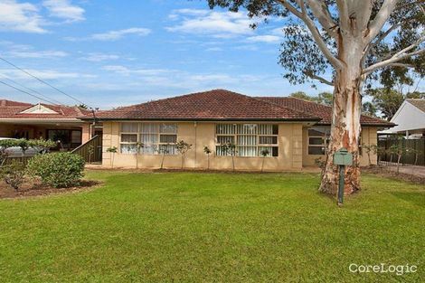 Property photo of 6 Don Terrace Morphettville SA 5043