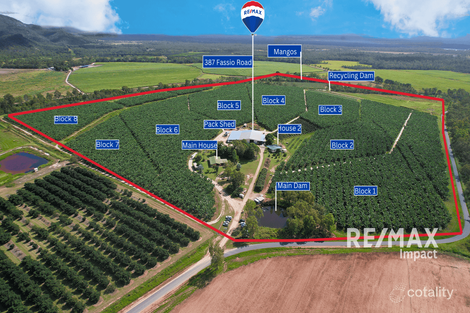 387 Fassio Rd, Paddys Green, QLD 4880