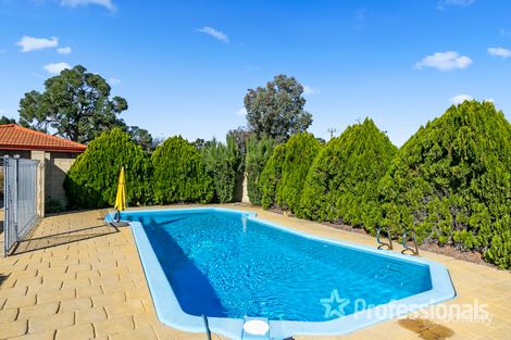 Property photo of 429 Marangaroo Drive Alexander Heights WA 6064