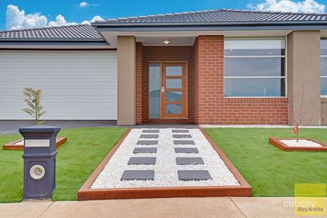 Property photo of 17 Angel Street Truganina VIC 3029