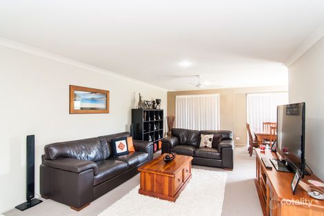 Property photo of 33 Macaranga Crescent Carseldine QLD 4034