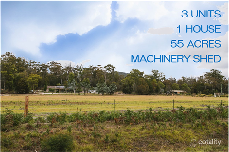 Property photo of 4/209 Argonaut Road St Helens TAS 7216