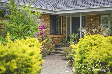 Property photo of 8 Cole Close Medowie NSW 2318