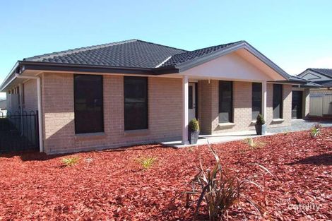 Property photo of 8 James Place Oxley Vale NSW 2340