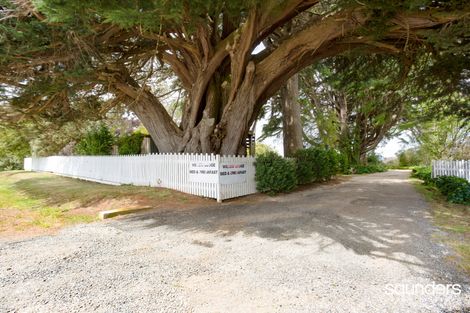 Property photo of 119 King Street Scottsdale TAS 7260