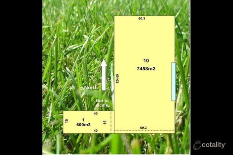 54 Poplar Ave, Shepparton, VIC 3630