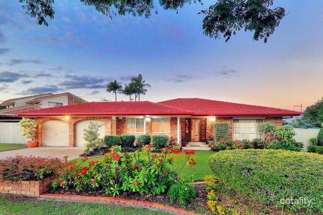 Property photo of 11 Alphitonia Crescent Sunnybank Hills QLD 4109