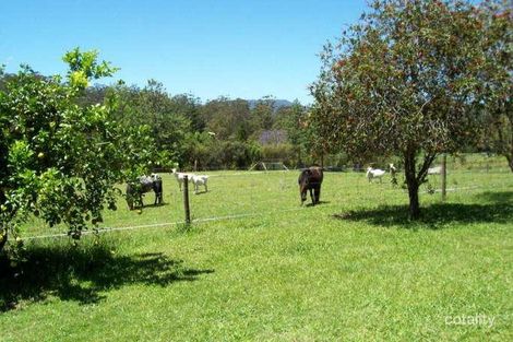 Property photo of 72 Tipperary Road Lorne NSW 2439
