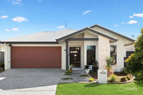 Property photo of 61 Logrunner Circuit Palmview QLD 4553