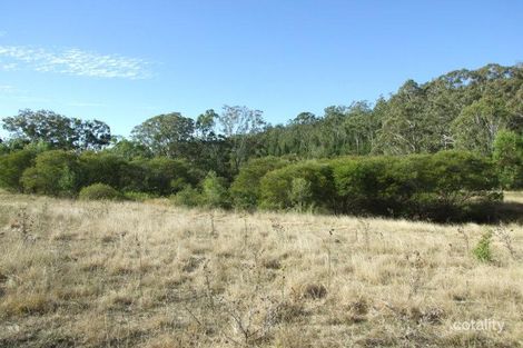 Property photo of 59 Schick Road Scrubby Mountain QLD 4356