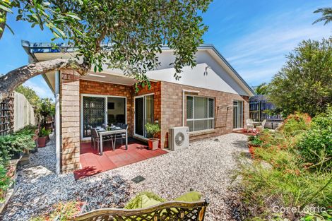 Property photo of 42 Robertson Avenue Margate QLD 4019