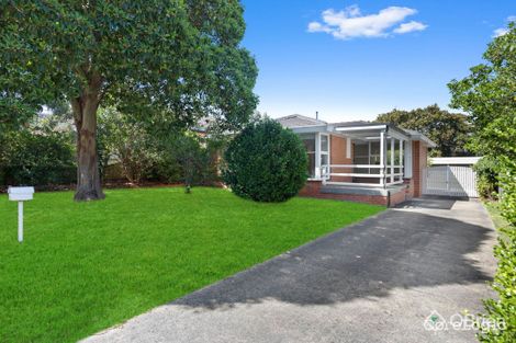 Property photo of 20 Tristania Street Frankston South VIC 3199