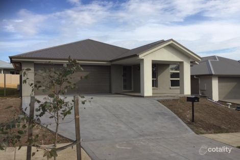 10 Newsham St, North Rothbury, NSW 2335